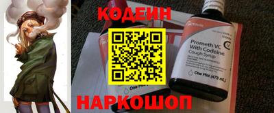 индика Можга