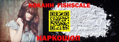 индика Можга