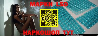 индика Можга