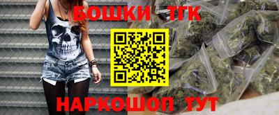 индика Можга