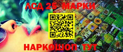 индика Можга