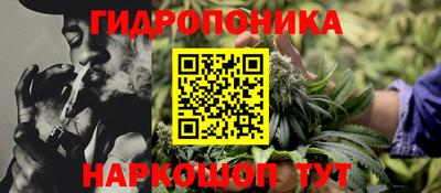 индика Можга